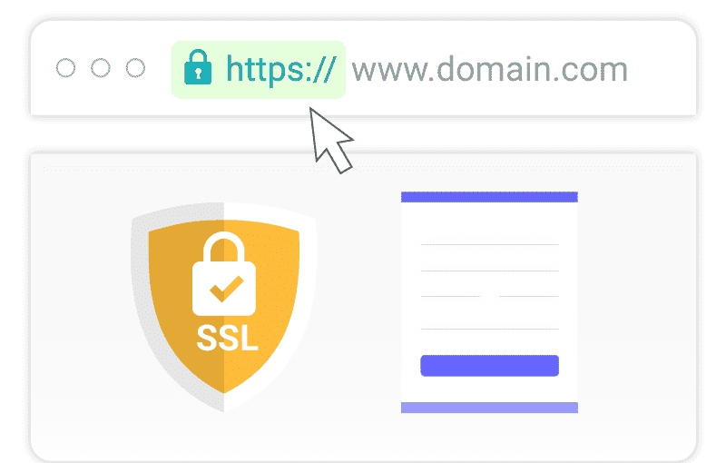 SSL website certificate